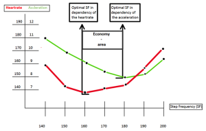 trend visualisation of heart rate and accelaration data