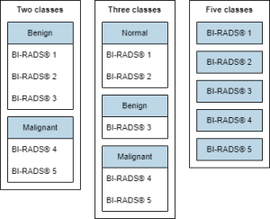 Figure 1: Data categorization and class divison. Own illustration.